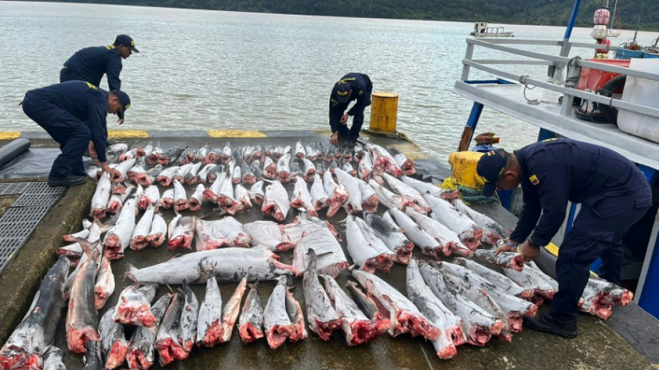 Colombia nabs over 300 tonnes of illegally caught fish in a decade