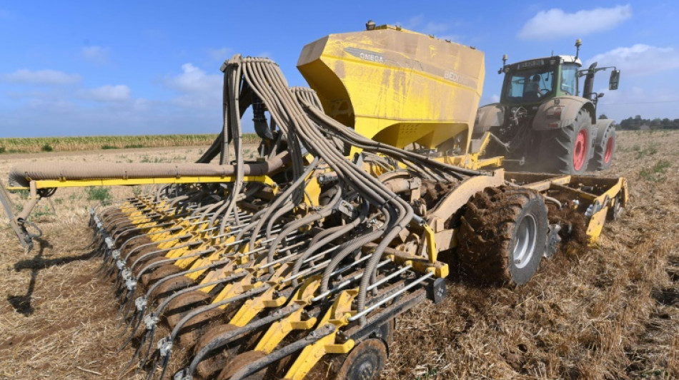 Bundesregierung setzt trotz Kritik EU-Zugeständnisse an Landwirte um