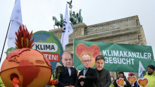 'Fatal mistake': Activists say climate ignored in German polls