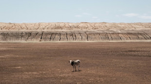 African countries to stand by 1.5C target at climate talks
talks