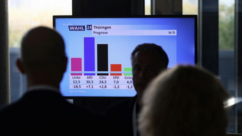 Umfrage: Volkswirte erwarten für Sachsen und Thüringen negative Wahlauswirkungen