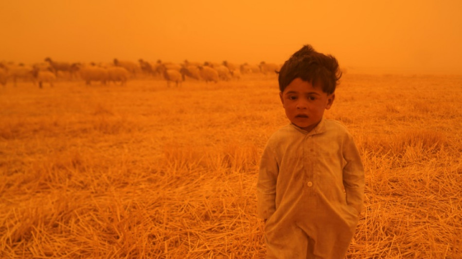 Et de neuf! Une nouvelle tempête en Irak pousse à une brève suspension des vols