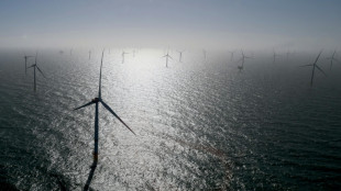 European summit to spur wind energy production in North Sea