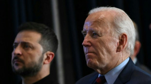 Biden annonce une aide militaire de 8 milliards de dollars à l'Ukraine avant de recevoir Zelensky