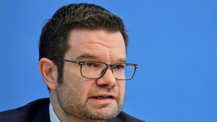 Buschmann fordert Priorisierung von Wirtschaftswachstum in Meseberg