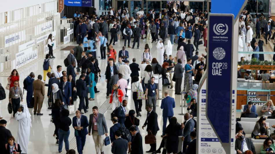 COP28: Trying to save the planet in 'Disneyworld' crowds