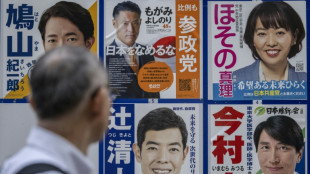 Record number of women run for Japan general election