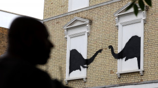 Due elefanti a Chelsea, secondo capitolo di Banksy