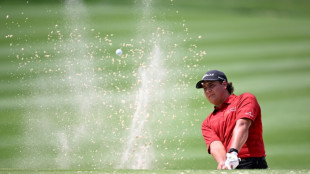 South Africa's Potgieter fires 61 to grab PGA Mexico Open lead