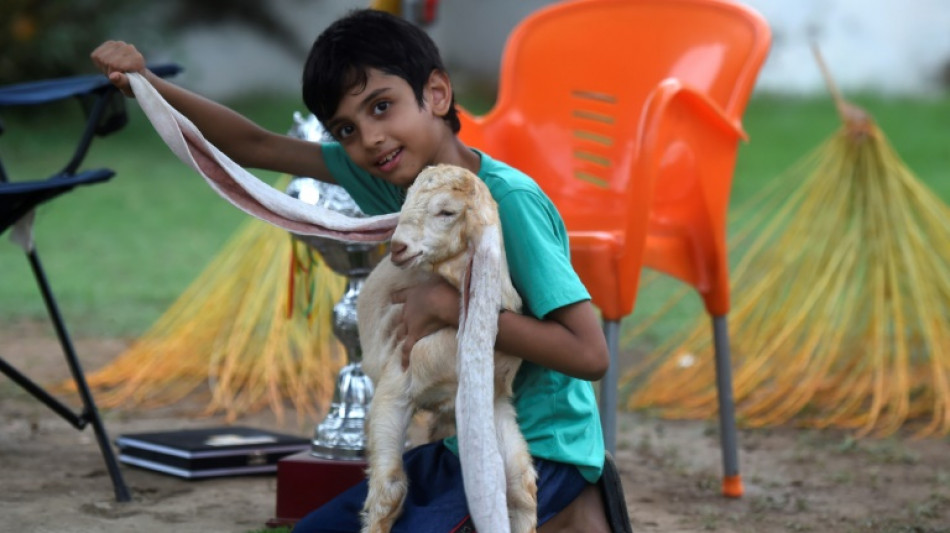 Pakistan : un chevreau aux très longues oreilles enflamme les réseaux sociaux