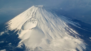 Japan to build anti-tourist fence at Mount Fuji viewpoint