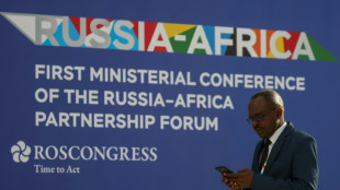 La Russie cherche à s'imposer en partenaire incontournable de l'Afrique 