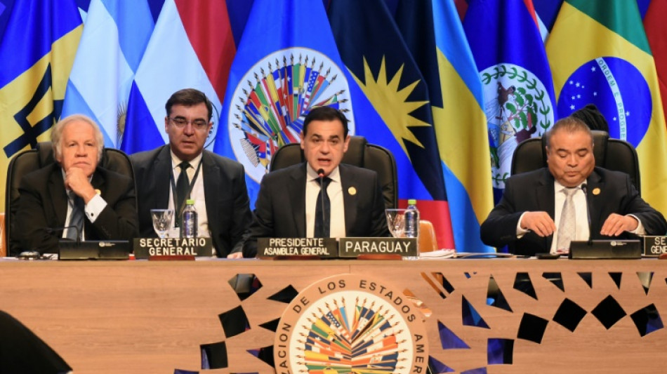 OEA repudia tentativa de golpe na Bolívia e aborda crises na Nicarágua e Haiti