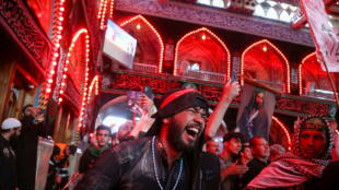 21 million Shiites mark Arbaeen in Iraq's Karbala