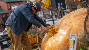 Zucca da 1.121 kg vince concorso mondiale in California