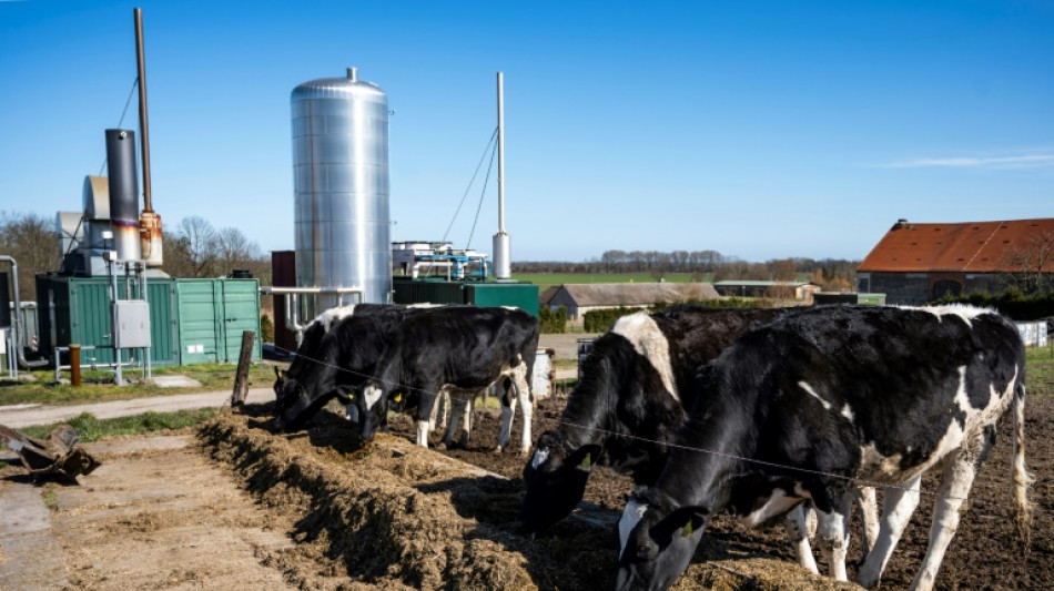 Gewinne und Einkommen von Landwirten 2021/2022 teils stark gestiegen