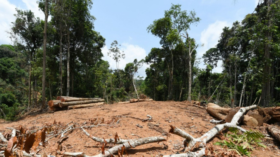 26% de l'Amazonie irréversiblement détruite, avertissent des chefs indigènes 