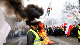 Tausende polnische Bauern protestieren in Warschau