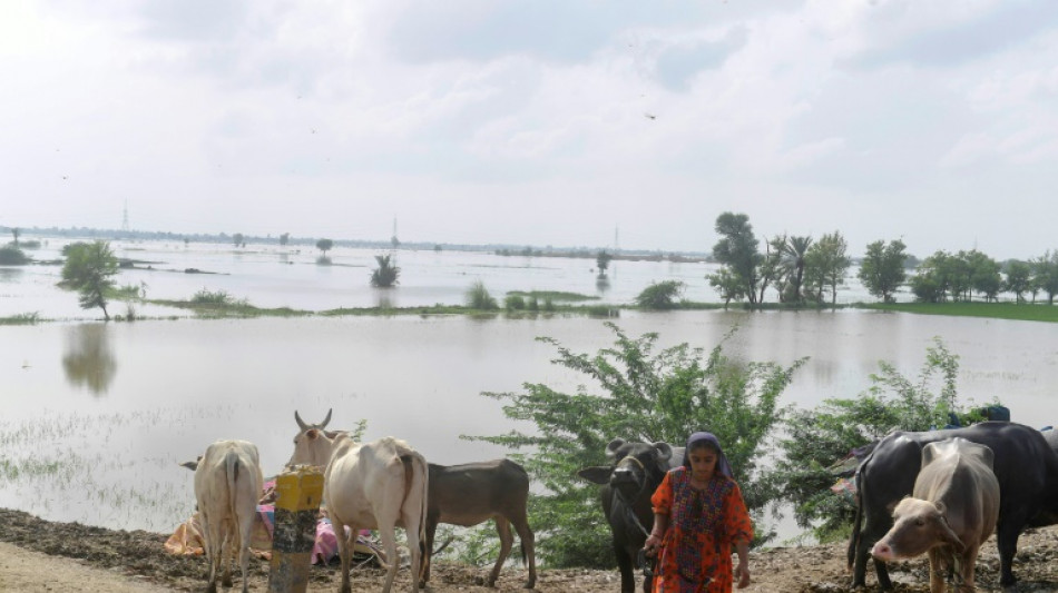 US commits another $30 mln for Pakistan flood relief