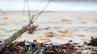 Guyane: l'érosion accélérée d'une plage menace une commune amérindienne