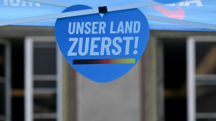 Wirtschaftsexperten loben Ost-Wirtschaft und warnen vor AfD-Regierungen