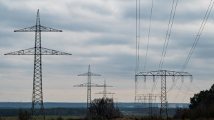 Bundesverwaltungsgericht entscheidet über Uckermarkleitung