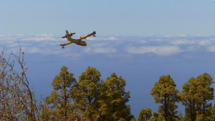 Grecia in fiamme, in arrivo due canadair dall'Italia