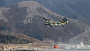 Japón enfrenta su peor incendio forestal en medio siglo