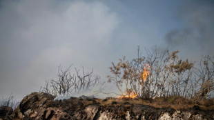 L'incendie dans la forêt de Brocéliande s'étend, deux avions suédois en action