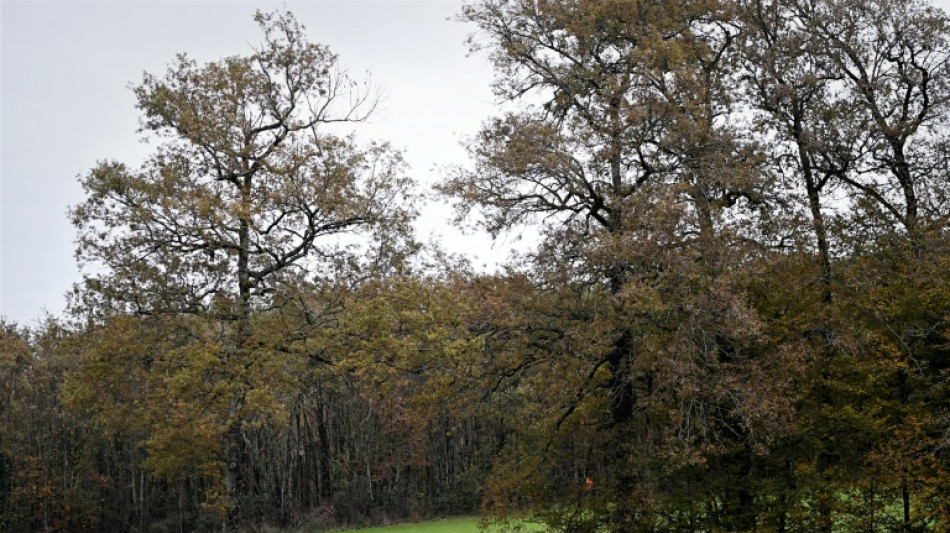 Accident de chasse mortel dans le Cantal: l'adolescente mise en examen