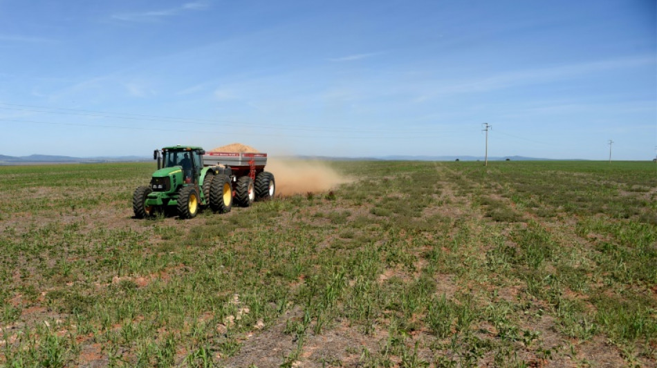 Erzeugerpreise in Landwirtschaft im Januar im Monatsvergleich weiter gesunken