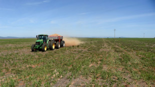 Erzeugerpreise in Landwirtschaft im Januar im Monatsvergleich weiter gesunken