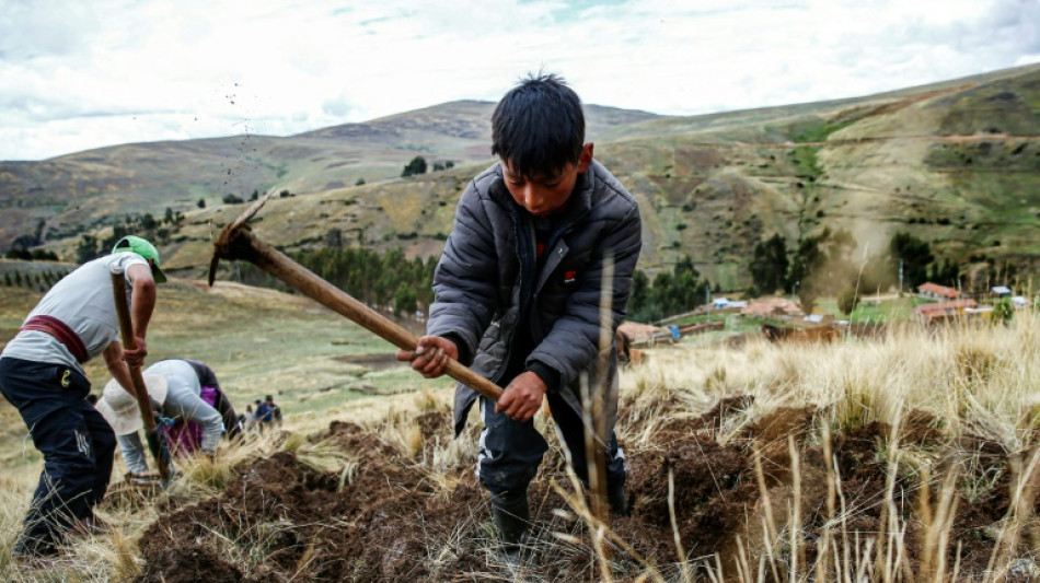 'We need information' plead Peru farmers battling drought, climate change