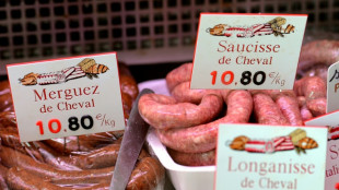 Horsemeat traffickers on trial in France in new industry scandal