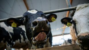 Erzeugerpreise für landwirtschaftliche Produkte steigen auch im Juni