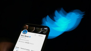 Twitter stock sinks as Musk mocks lawsuit threat