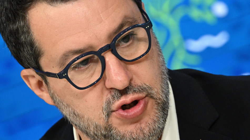 Salvini, sono colpevole di aver difeso l'Italia