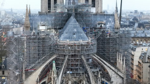 Notre-Dame: un chantier essentiel pour les entreprises du patrimoine