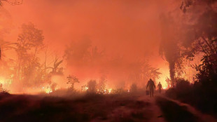 Francia enviará un centenar de bomberos a Bolivia para combatir incendios forestales 