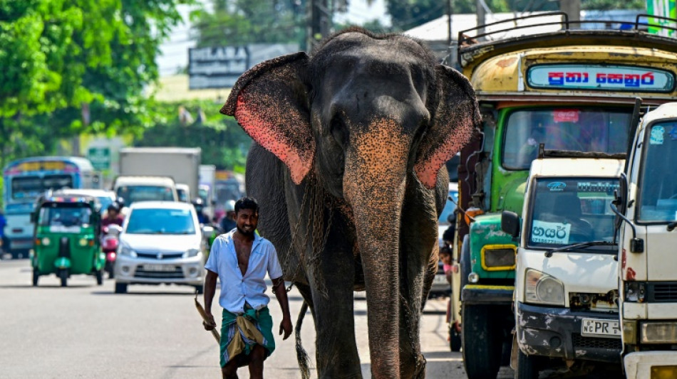 Sri Lanka adjusts train timings to tackle elephant deaths