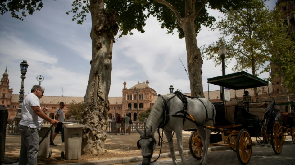 Spain sounds high alert for scorching heatwave