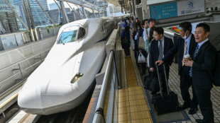 Snake on a train delays Japanese bullet service