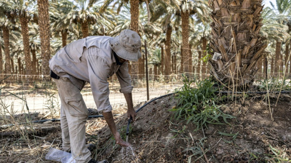 La ciudad israelí de Eilat reutiliza hasta la última gota de agua