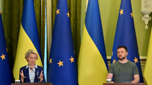 Ukraine: bientôt une réponse de l'UE à l'adhésion, combats acharnés à Severodonetsk