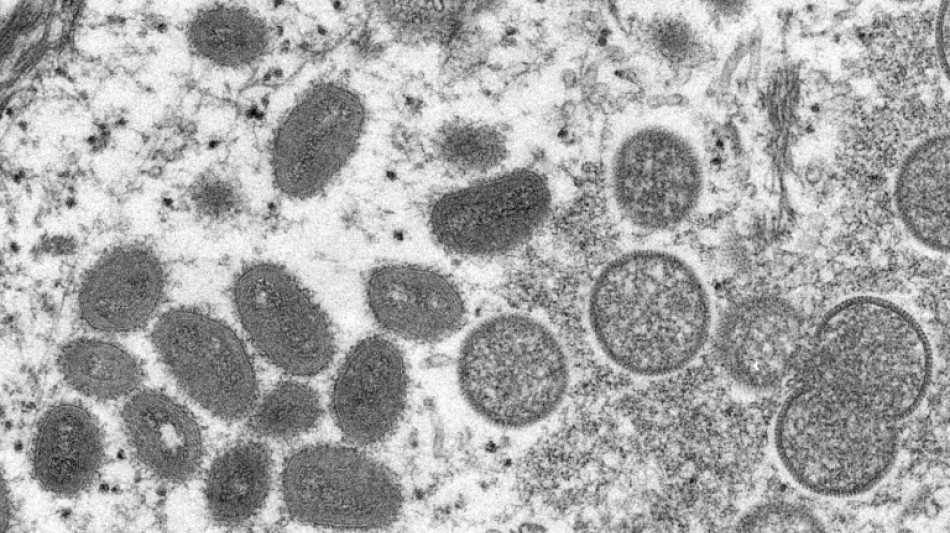 Mpox-Virus breitet sich in afrikanischen Staaten weiterhin schnell aus