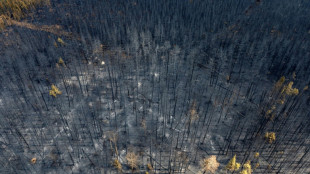 Incendies dans l'ouest canadien: la pluie fraîche, tant esperée, arrive 