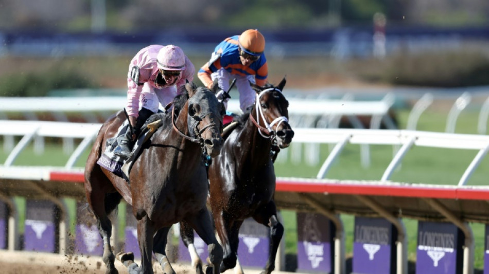 Sierra Leone wins Breeders' Cup Classic