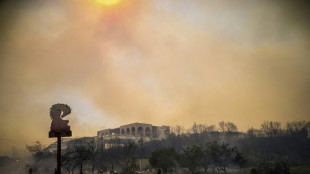 30,000 people moved to safety as Rhodes wildfires rage