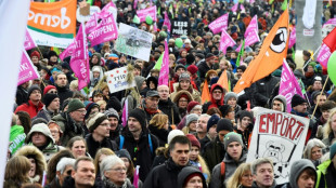 Bündnis "Wir haben es satt" fordert schnelle Schritte beim Umbau der Landwirtschaft