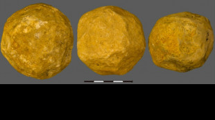 Les sphéroïdes préhistoriques étaient conçus à dessein, mais dans quel but ?